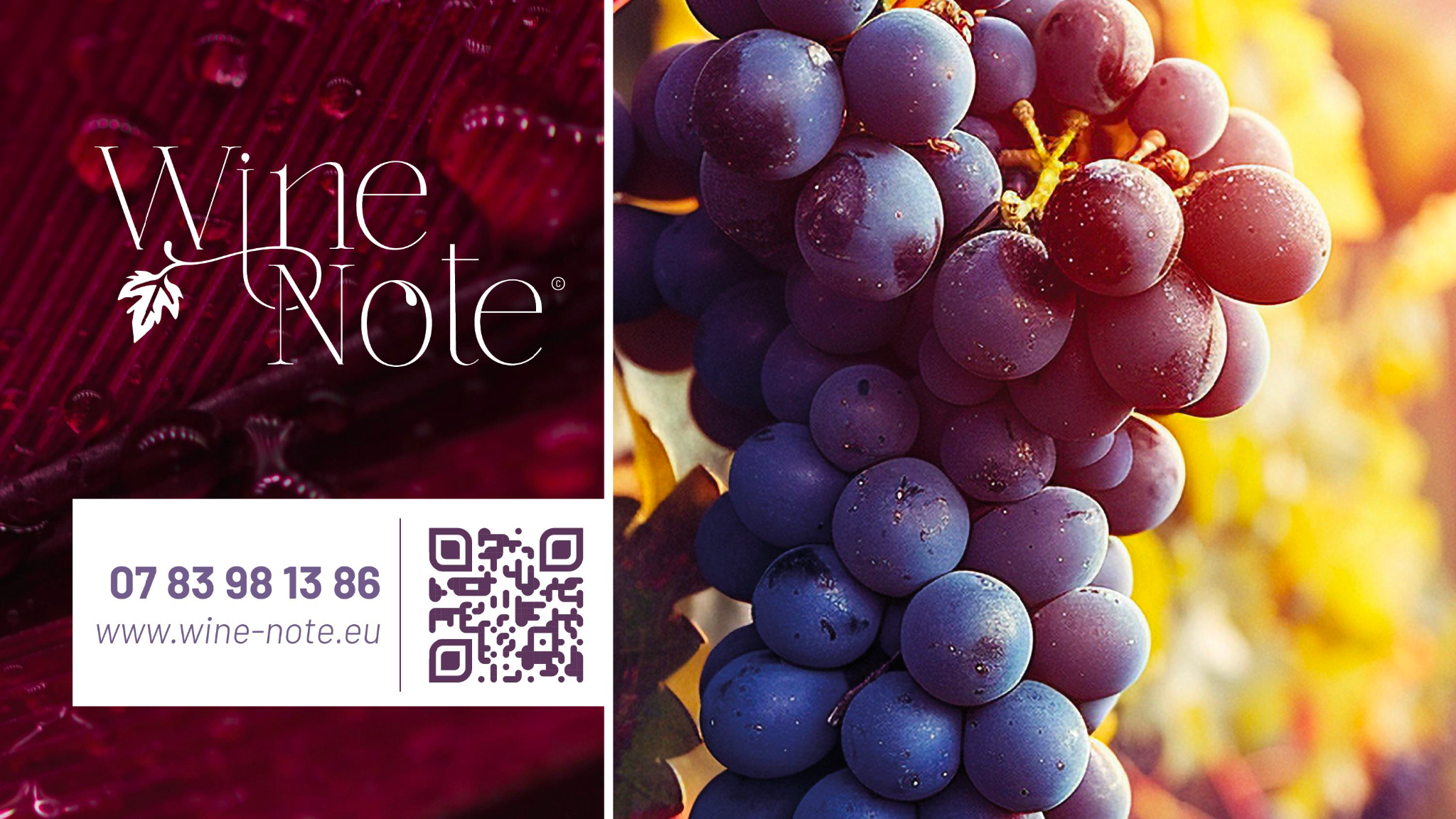 Présentation du catalogue Wine Note